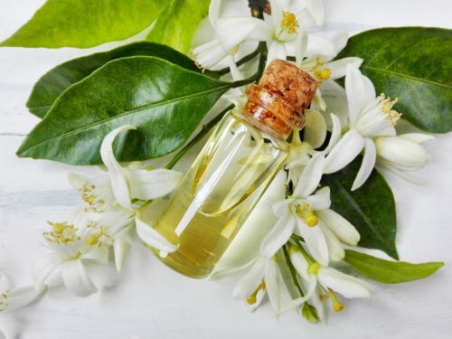 Huile de massage profesionnelle végétale et naturelle à la Fleur d'Oranger  1 litre au meilleur prix